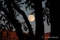 Mond im Oktober-013
